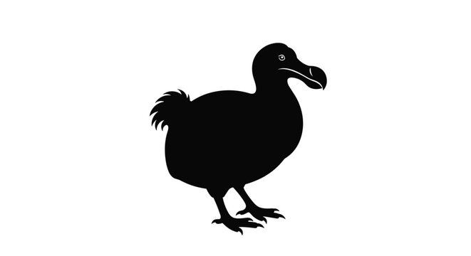 Minimalist black silhouette illustration of a dodo bird, an iconic extinct flightless avian species, standing on a clean white background.