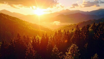 A breathtaking view of a forest canopy bathed in the warm glow of a setting sun, with layers of mountains fading into the distance.