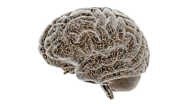 human brain in maintain in technology