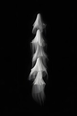 Fototapeta premium Ethereal apparitions in monochrome create a hauntingly beautiful and ghostly scene of spirits
