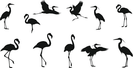 Obraz premium Flamingo and heron silhouette vector, wading bird poses, flying and standing illustration, wildlife icon set, black nature graphic