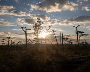 Travel to Phu Kradueng, Loei Province, on 14-16 November 2025. The nighttime weather was cold, 13 degrees, no clouds, saw a sea of ​​fog, the weather was great, saw the sunrise and the sunset.