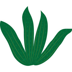 Obraz premium Green Plant With Multiple Leaves and Yellow Details On Transparent Background Isolated Digital Art