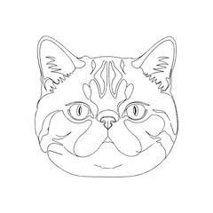 Obraz premium Detailed cat head outline perfect for coloring or use in graphic design projects, emphasizing facial features