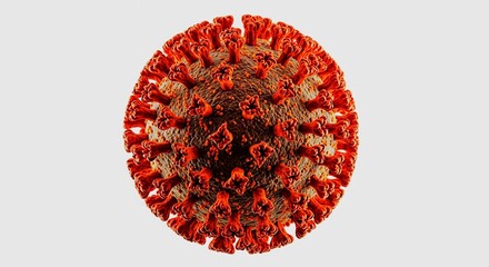 Detailed 3D rendering of a coronavirus virion, showing its structure and surface proteins.