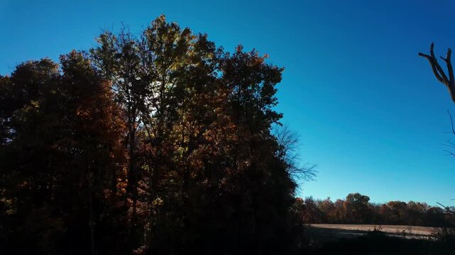 POV of driving close to sideroad of highway surrounded by vibrant autumn trees under a clear blue sky. Cars travel along the road as fall foliage lines both sides,
