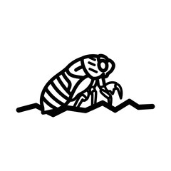 Detailed illustration of a flea insect with intricate body lines and features.