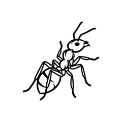 Detailed Line Drawing of an Ant with Prominent Antennae and Legs.