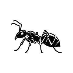 Simple black and white vector illustration of an ant.