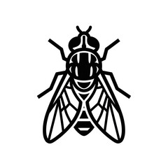 Detailed black and white illustration of a fly insect with wings.