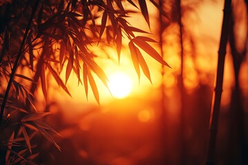 Golden Sunset Through Bamboo Serene Nature Scene with Warm Light, and Tranquil Environment.