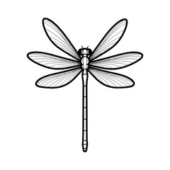 Symmetrical black and white dragonfly line art illustration.