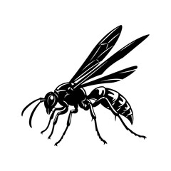 Detailed Black and White Illustration of a Wasp.