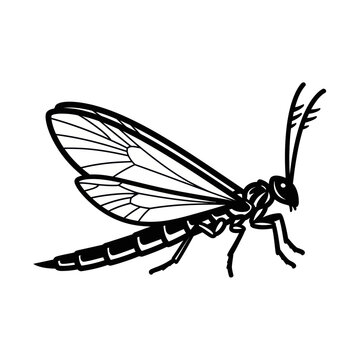 Simple black and white line art illustration of a flying insect.