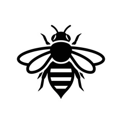 Detailed black and white illustration of a honeybee insect.