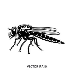 Detailed Black and White Robber Fly Illustration.