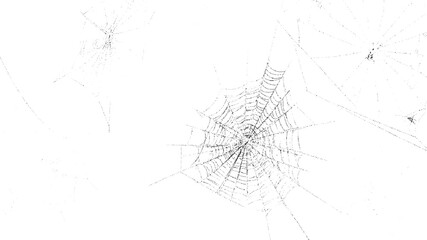 Multiple intricate black spiderwebs with detailed radial and spiral threads on a stark white background