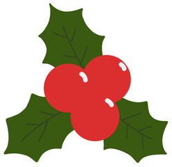 크리스마스 빨간 열매