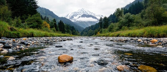 A clear, shallow river flows through a rocky bed towards a majestic snow-capped mountain range, surrounded by dense green forests and grass.