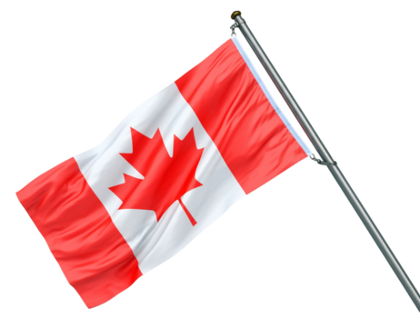 Waving canadian flag isolated on transparent background, a symbol of canada and its national identity