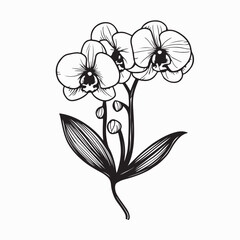 Blooming Orchid Flower Vector Design on white background