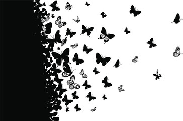 Black silhouette of many butterflies flying in a swarm from left side isolated on white background for nature design concept