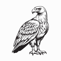 Predatory Bird Sitting Vector Art isolated on white background