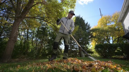 Gardener gathering fallen autumn leaves into pile in a backyard. Seasonal works in garden. Landscape design. Landscaping. 
