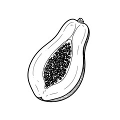 Hand drawn line art illustration of a halved ripe papaya fruit with seeds isolated on transparent background