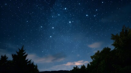 A vast and serene night sky teeming with countless bright stars is viewed above the dark silhouettes of trees and a distant horizon