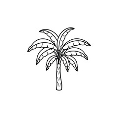 Simple outline illustration of a banana tree on a white background