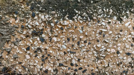 Close-up texture of exposed aggregate concrete featuring natural pebbles and rough stone details. This image is ideal for backgrounds, design projects, construction themes, and architectural materials
