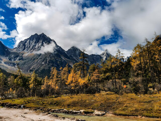 Alpine Peaks with Golden Larch Forest and Dramatic Mountain Landscape