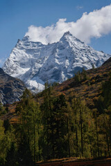 Snow-Capped Alpine Peak Above Autumn Forest Valley