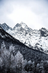 Snow-Capped Mountain Peaks Above Winter Forest Valley