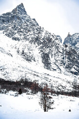 Snow-Covered Mountain Peaks in Winter Landscape