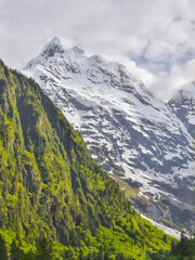 Snowcapped Alpine Mountain Peak Above Green Forest Valley