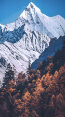 Snowcapped Mountain Peak with Golden Autumn Forest Below