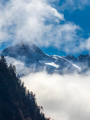 Snowcapped Mountain Peaks Through Misty Clouds with Forested Slopes