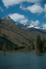 Alpine Peaks Reflecting in Pristine Mountain Lake with Submerged Forest
