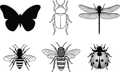 Silhouette vector set of insects including butterfly, beetle, dragonfly, bee, and ladybug for nature-themed design and educational projects