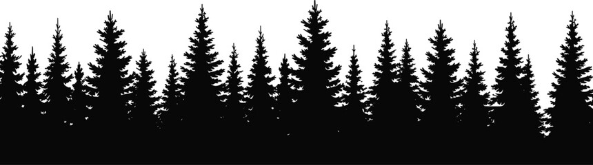 Fototapeta premium Black silhouette of coniferous pine forest skyline, evergreen trees isolated on white background, vector illustration for wilderness landscape.