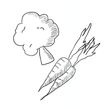 sketch of a pencil drawing of carrot and broccoli