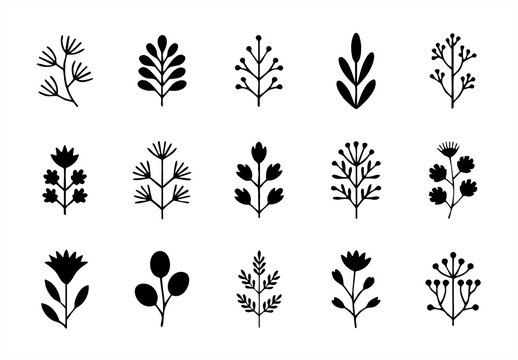 Wildflowers and Leaves Flat Vector Set