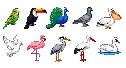 Obraz premium Collection of diverse bird illustrations for educational purposes