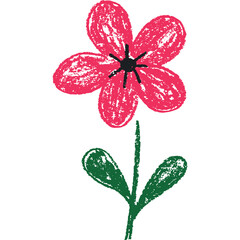 Hand Drawn Pink Flower with Green Stem and Leaves Isolated on White Background with Textured Crayon Style