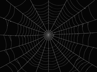 Capturing the intricate design of a spider web against a contrasting black background, this image highlights nature's artistry and evokes feelings of mystery and intrigue.
