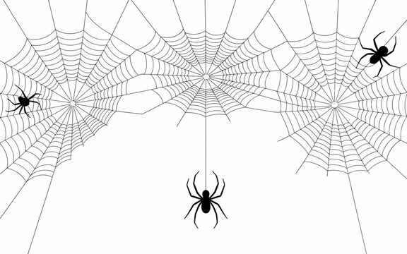An intricate and artistic representation of spider webs with spiders, showcasing nature's craftsmanship in a monochromatic style, ideal for themes related to mystery or nature.