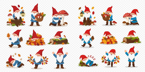 Collection of cute cartoon gnomes in various autumn activities with leaves and mushrooms on a transparent background.