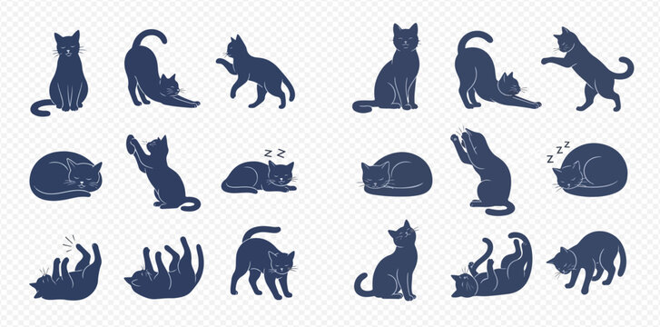 Collection of dark blue cat silhouettes in various poses on a transparent background.